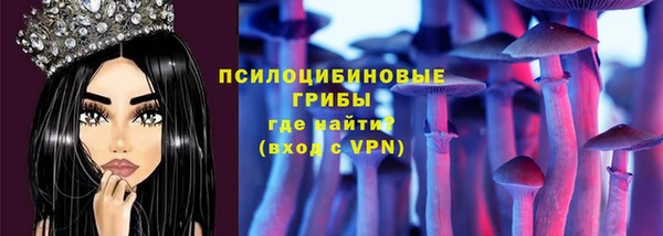 сатива Арсеньев