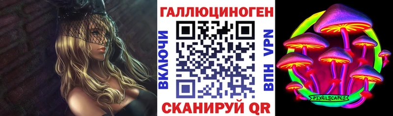 закладка Белоярский Псилоцибиновые грибы MAGIC MUSHROOMS